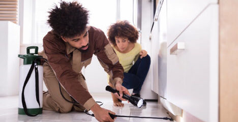 termite companies in Baton Rouge