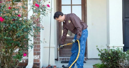 termite inspection