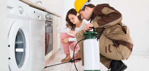 pest control in Gonzales LA