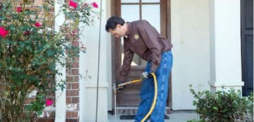 termite companies in Baton Rouge