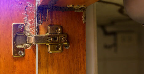 inner cabinet termite damage termite exterminators Baton Rouge